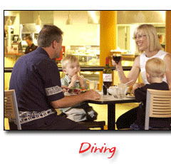 Steelers Club - Darwin Holiday 0