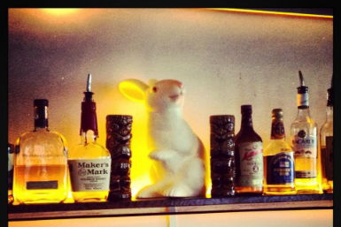 Hairy Canary - Darwin Holiday 0