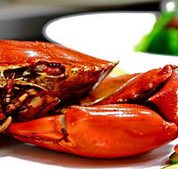 Newquay International Buffet - Darwin Holiday