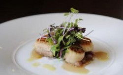 Willoughby NSW Darwin Holiday