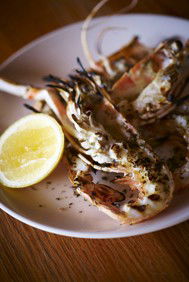 Alira - Darwin Holiday 2