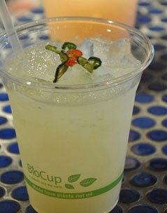 El Loco - Darwin Holiday 2