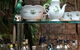 Gin Garden - thumb 2