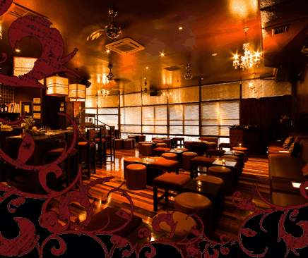 Hippo Lounge Bar - Darwin Holiday