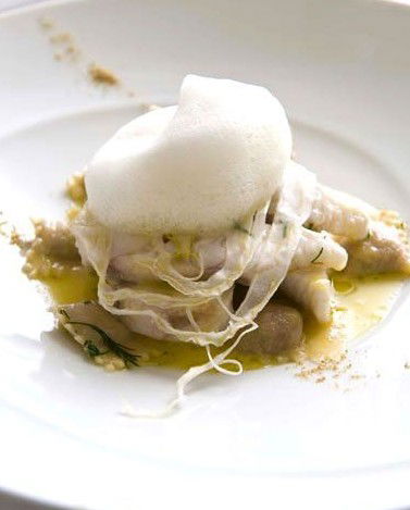 Rockpool On George - Darwin Holiday 2