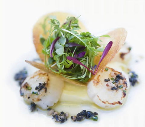 Garden Court - Darwin Holiday 1