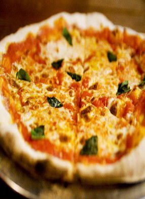 La Bora - Darwin Holiday 0