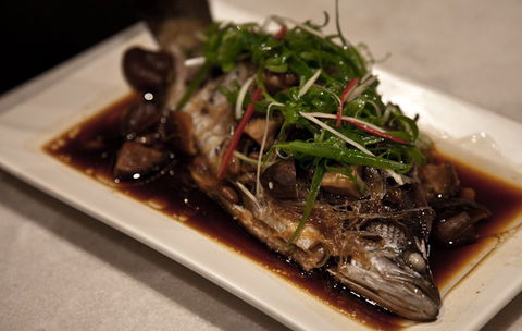 Red Lantern - Darwin Holiday 3