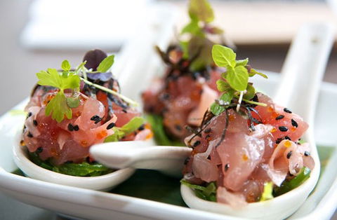 Garfish - Darwin Holiday 0