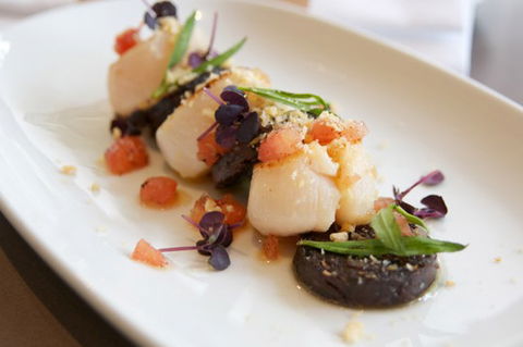 Garfish - Darwin Holiday 3