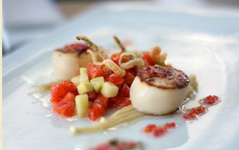 Garfish - Darwin Holiday 4