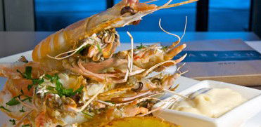 Garfish - Darwin Holiday 5