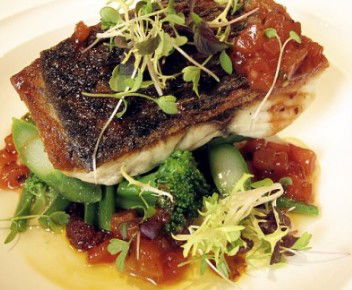 Avenue On Chifley - Darwin Holiday 3