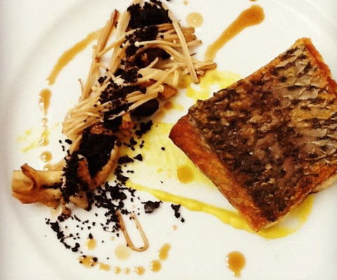 Botanic Gardens Restaurant - Darwin Holiday 3