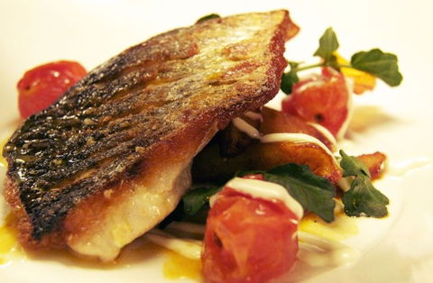 Dome - Darwin Holiday 4