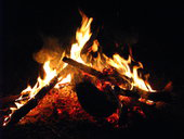 Corroboree Park Tavern - Darwin Holiday 3