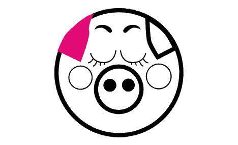 Pink Pig - Darwin Holiday 0