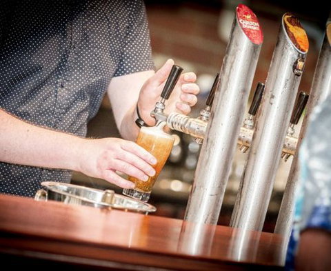 The Wellington At Botanical Gardens - Darwin Holiday 5