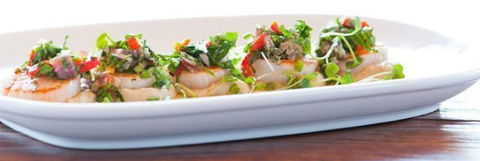 La Repubblica - Darwin Holiday 0