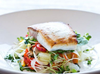 La Repubblica - Darwin Holiday 4