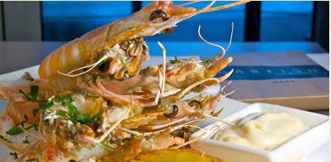 Garfish - Darwin Holiday 3