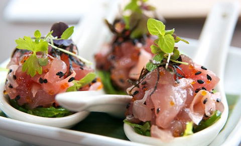 Garfish - Darwin Holiday 4