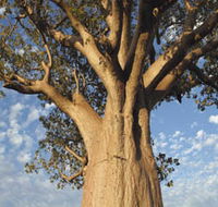 The Kimberley Grande - Darwin Holiday