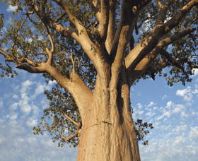 The Kimberley Grande - Darwin Holiday 0