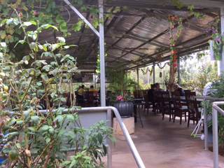 Alice Vietnamese Restaurant - Darwin Holiday 4