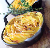 Quattro Lennox Head - Darwin Holiday