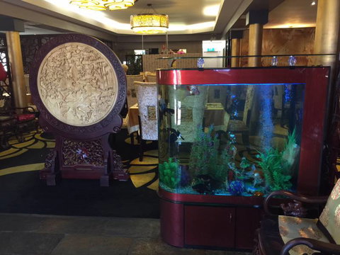 Dragon Palace - Darwin Holiday 4