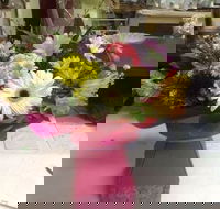 Fiori With Love - Darwin Holiday