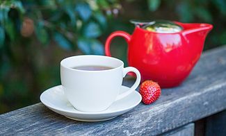 Rainforest Cafe (Sea Acres) - Darwin Holiday 2