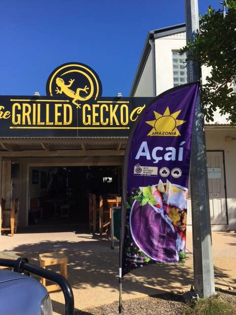 The Grilled Gecko Cafe - Darwin Holiday 0