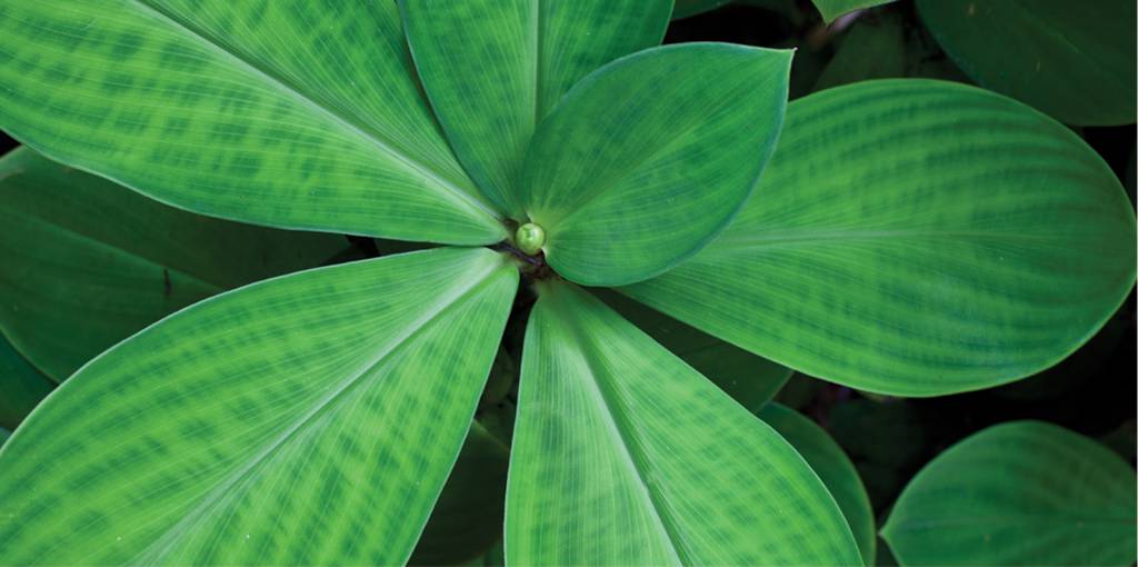 Freshwater QLD Darwin Holiday