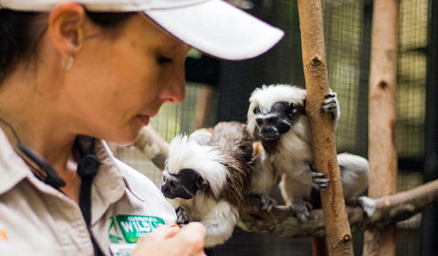 Animal Training And Conditioning - September - Darwin Holiday 0