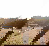 Arcadia - Darwin Holiday