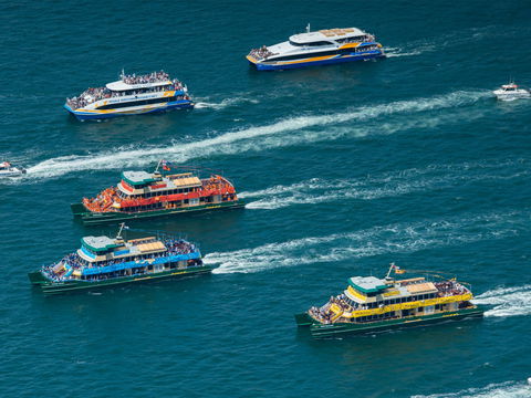 Australia Day Sydney Harbour Cruises - Darwin Holiday 1