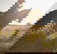 Balonne Cutting Horse Futurity - Darwin Holiday