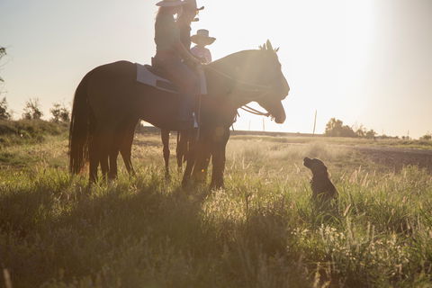 Balonne Cutting Horse Futurity - Darwin Holiday 0