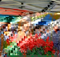 Ballina Missingham Farmers Market - Darwin Holiday