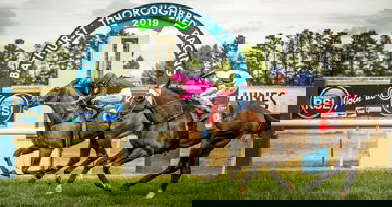 Bathurst Entertainment Venues Darwin Holiday Darwin Holiday