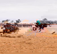 Birdsville Campdraft  Rodeo and Bronco Branding - Darwin Holiday