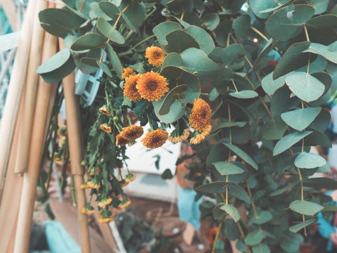 Boho Luxe Market - Darwin Holiday 2