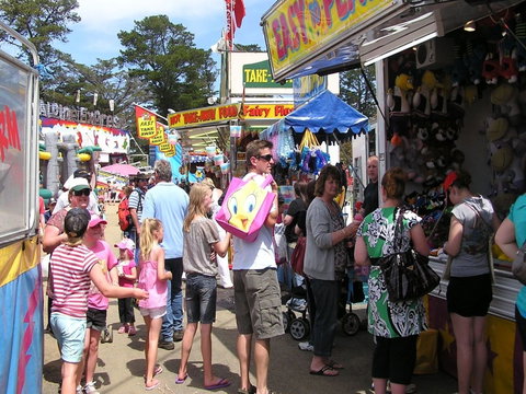 Brighton Show - Darwin Holiday 1