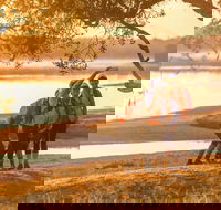 Brisbane Coastrek 2020 - Darwin Holiday