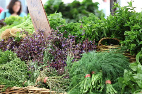 Carriageworks Farmers Market - Darwin Holiday 2