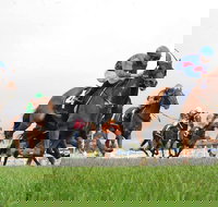 Christmas Cup Race Day - Darwin Holiday