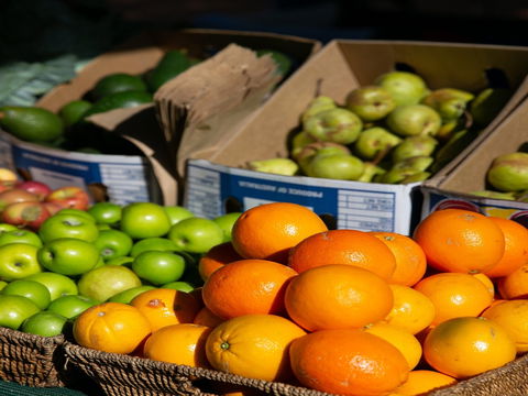Cleveland  Markets - Darwin Holiday 0