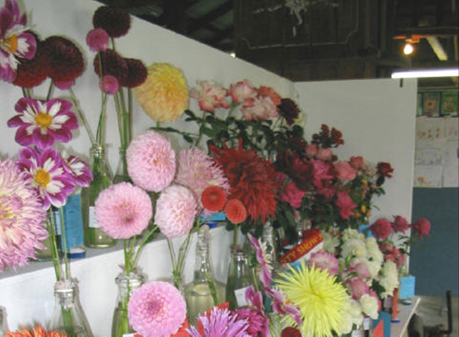 Nimmo NSW Darwin Holiday